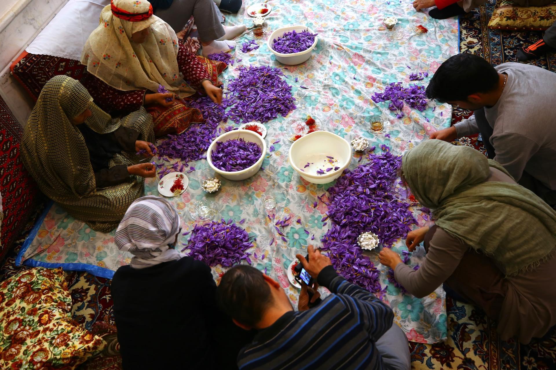 viaggio_in_Iran_alla_scoperta_dello_zafferano_iraniano_4_-_pistilli.jpg