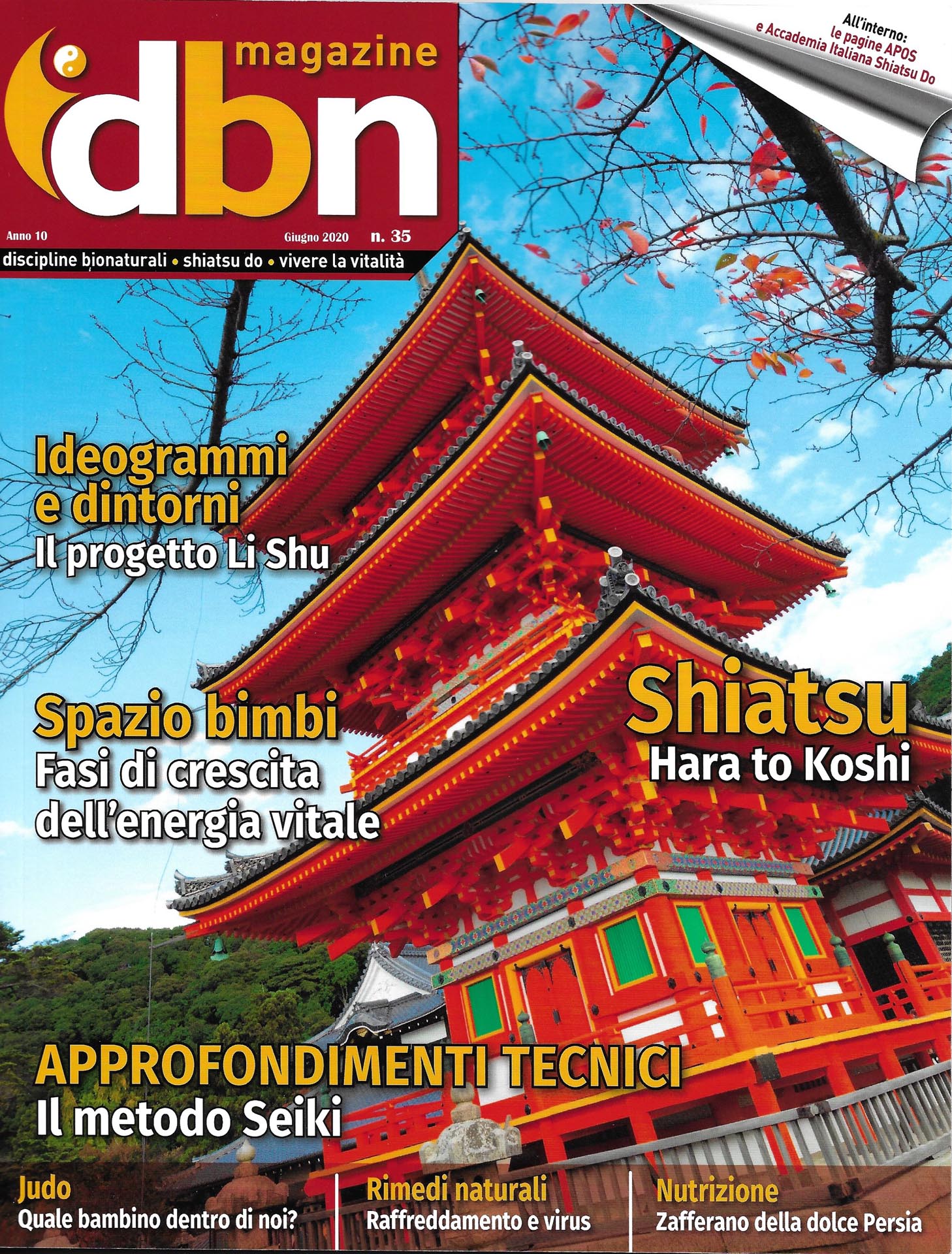 dbn magazine shirin persia